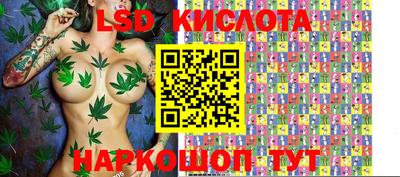 спайс Аргун