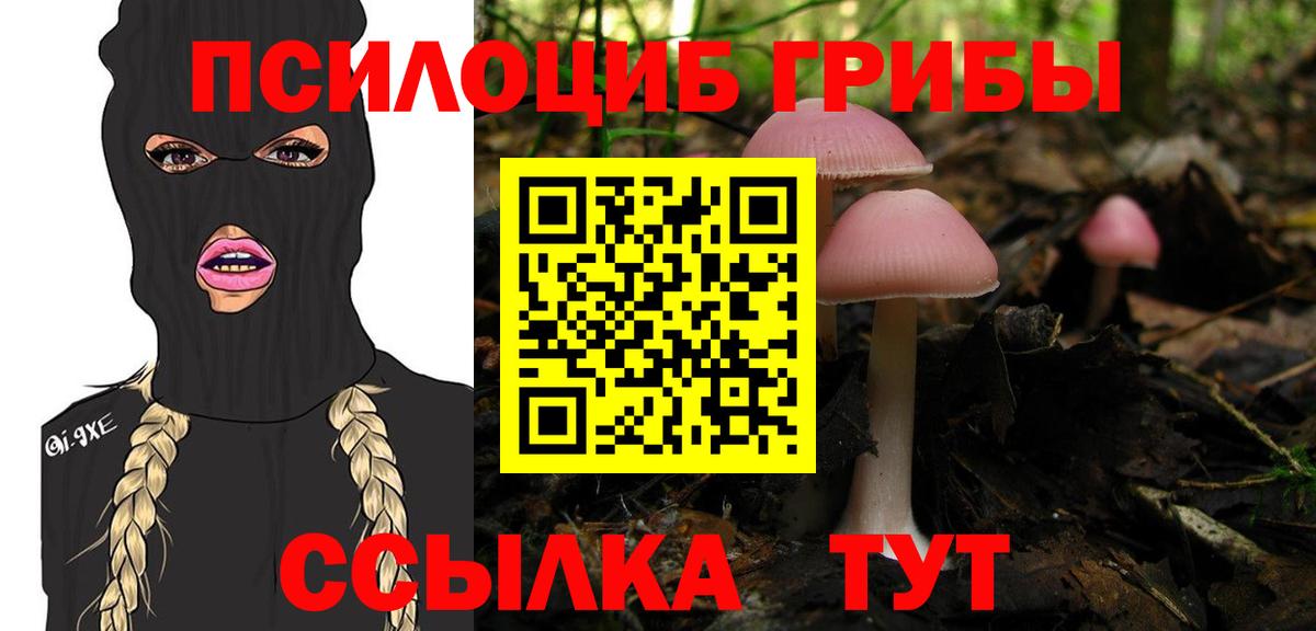Галлюциногенные грибы MAGIC MUSHROOMS  Псилоцибиновые грибы Magic Shrooms  Борзя  Вход с VPN 